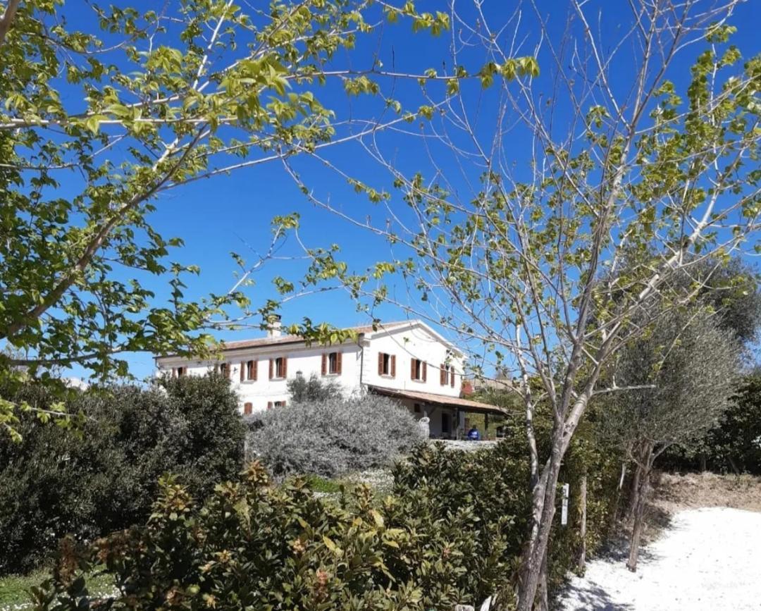 Rustico Del Bozzo Affittacamere Castelleone di Suasa Esterno foto