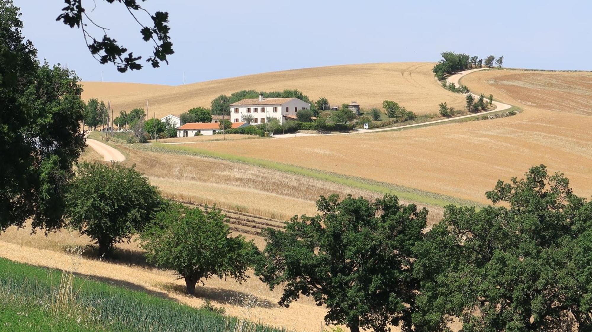 Rustico Del Bozzo Affittacamere Castelleone di Suasa Esterno foto